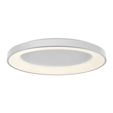 LED2 - LED Dimmable ceiling light BELLA LED/80W/230V 3000K/4000K white