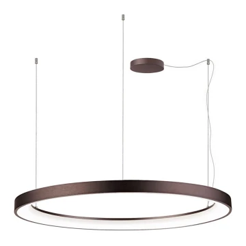 LED2 - LED Dimmable chandelier on a string BELLA LED/80W/230V 3000K/4000K brown