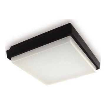 LED2 - LED Outdoor ceiling light QUADO LED/10W/230V anthracite IP54