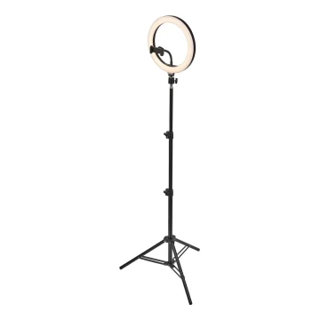 Ledvance - LED Dimmable floor lamp with a stand and holder for vlogging LED/6W/USB 3000/4000/6500K