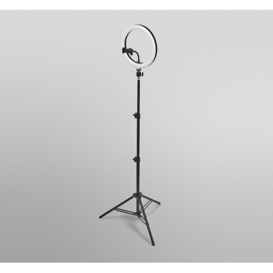 Ledvance - LED Dimmable floor lamp with a stand and holder for vlogging LED/6W/USB 3000/4000/6500K