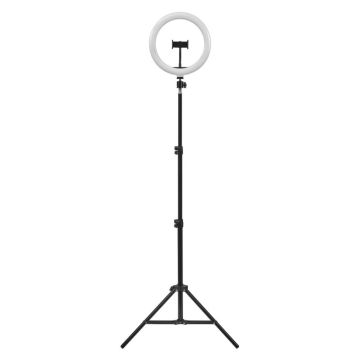 Ledvance - LED Dimmable floor lamp with a stand and holder for vlogging LED/6W/USB 3000/4000/6500K