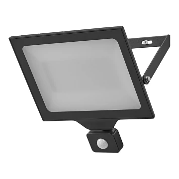 Ledvance - LED Outdoor wall floodlight with sensor FLOODLIGHT ESSENTIAL LED/100W/230V IP65