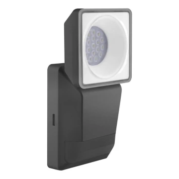 Ledvance -LED Outdoor wall light with a sensor  SPOT LED/8W/230V IP55 black