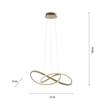 Leuchten Direkt 15402-60 - LED Dimmable chandelier on a string MARIA LED/25W/230V