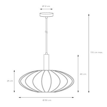 Lucide 03447/52/30 - Chandelier on a string CORINA 1xE27/40W/230V d. 50 cm black