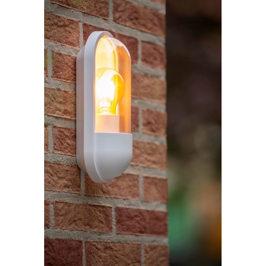 Lucide 29897/01/31 - Outdoor wall light CAPSULE 1xE27/15W/230V IP54