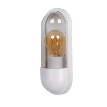 Lucide 29897/01/31 - Outdoor wall light CAPSULE 1xE27/15W/230V IP54