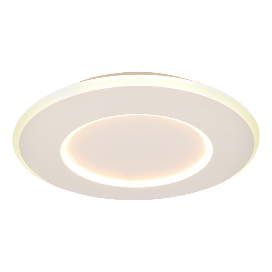 Lucide 44110/24/31 - LED Dimmable ceiling light AXELLE LED/24W/230V white