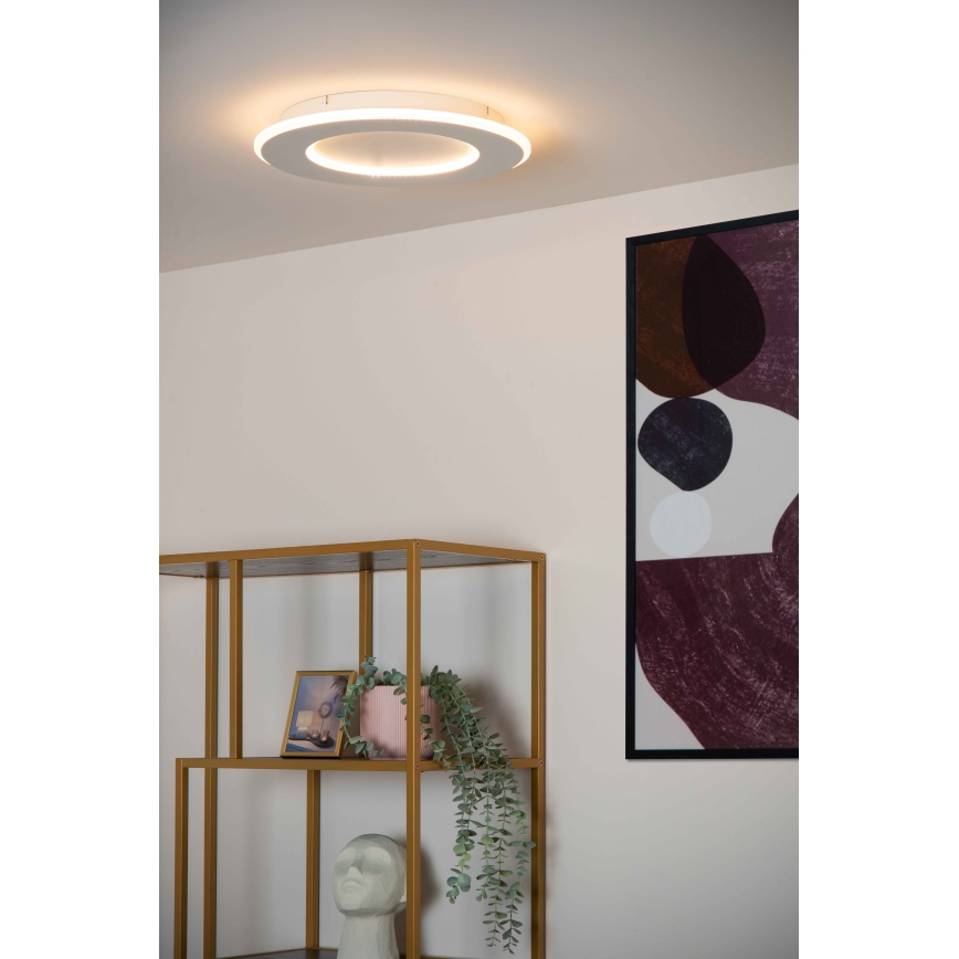 Lucide 44110/24/31 - LED Dimmable ceiling light AXELLE LED/24W/230V white