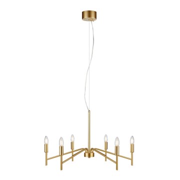 Markslöjd 108210 - Chandelier on a string MONARCH 6xE14/18W/230V gold