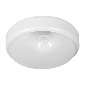 Müller-Licht - LED Outdoor ceiling light with a sensor PICTOR LED/8W/230V IP54