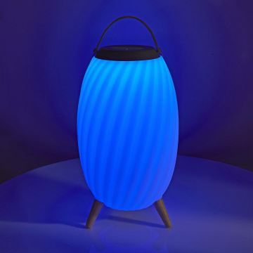 LED RGB Rechargeable table lamp with a speaker 60W/2200 mAh IPX5