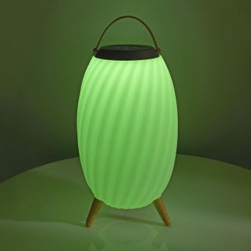 LED RGB Rechargeable table lamp with a speaker 60W/2200 mAh IPX5