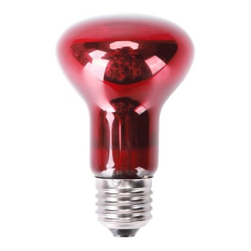 Nobleza - Infrared bulb for terrariums E27/50W230V IP54