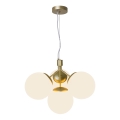 Nordlux - Chandelier on a string IVONA 4xE27/28W/230V gold