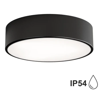 Outdoor ceiling light with a sensor CLEO 2xE27/24W/230V d. 30 cm black IP54