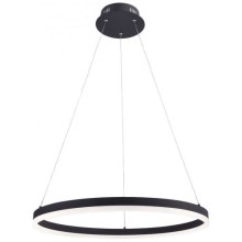 Paul Neuhaus 2382-13 - LED Dimmable chandelier on a string TITUS LED/38,5W/230V