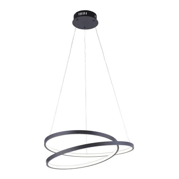Paul Neuhaus 2472-18 - LED Dimmable chandelier on a string ROMAN LED/30W/230V black