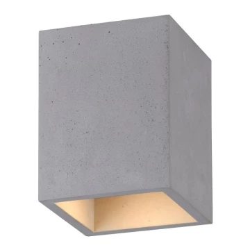 Paul Neuhaus 6161-22 - Spotlight ETON 1xGU10/10W/230V concrete