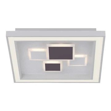 Paul Neuhaus 6283-16 - LED Dimming ceiling light ELIZA LED/30W/230V + LED/18,5W