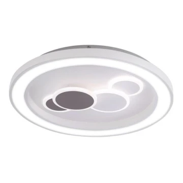 Paul Neuhaus 6284-16 - LED Ceiling light ELIZA LED/55,5W/230V