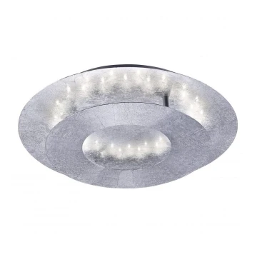 Paul Neuhaus 9011-21 - LED Ceiling light NEVIS LED/6W/230V silver