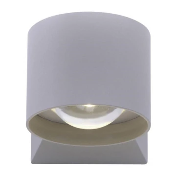 Paul Neuhaus 9441-21 - LED Outdoor wall light TIMO 2xLED/2W/230V IP54