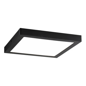 Paulmann 71026 - LED/22W Ceiling light ABIA 230V black