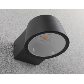 Paulmann 94713 - LED/6W IP44 Outdoor wall light CAPERA 230V