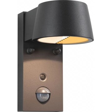 Paulmann 94714 - LED/6W IP44 Outdoor wall light with a sensor CAPERA 230V 2200/3000K