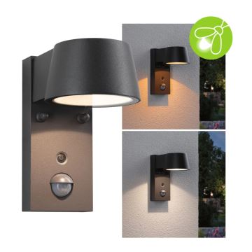 Paulmann 94714 - LED/6W IP44 Outdoor wall light with a sensor CAPERA 230V 2200/3000K