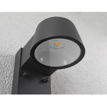 Paulmann 94714 - LED/6W IP44 Outdoor wall light with a sensor CAPERA 230V 2200/3000K