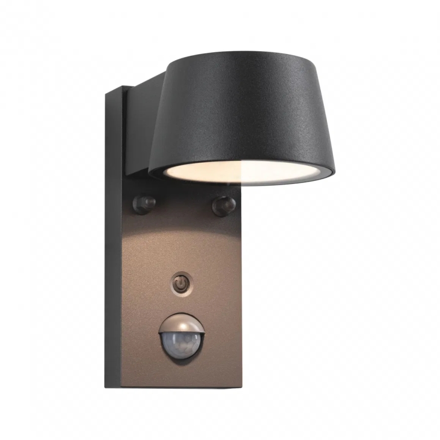 Paulmann 94714 - LED/6W IP44 Outdoor wall light with a sensor CAPERA 230V 2200/3000K