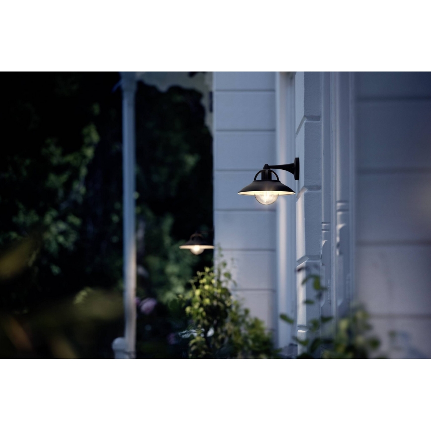 Philips 17381/30/PN - Outdoor wall light COMORANT 1xE27/42W/230V IP44