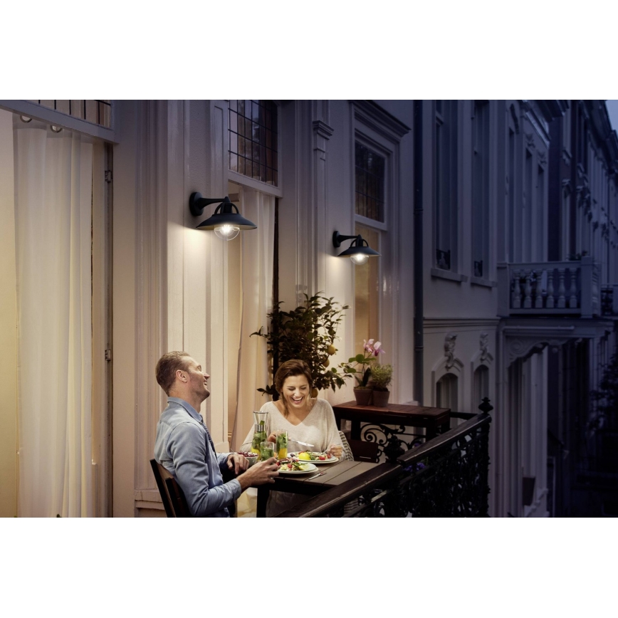 Philips 17381/30/PN - Outdoor wall light COMORANT 1xE27/42W/230V IP44