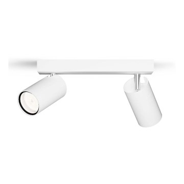 Philips - Bathroom spotlight IDRIS 2xGU10/5W/230V IP44 white