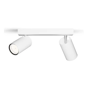 Philips - Bathroom spotlight IDRIS 2xGU10/5W/230V IP44 white