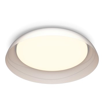 Philips - LED Dimmable ceiling light FLETA LED/10W/230V 2700K clear