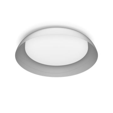 Philips - LED Dimmable ceiling light FLETA LED/10W/230V 2700K clear