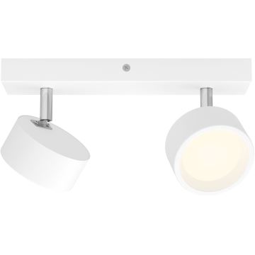 Philips - LED Spotlight 2xLED/5,5W/230V white