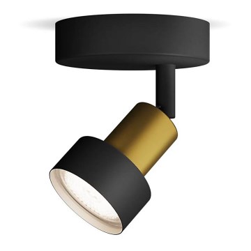 Philips - Spotlight CONDUIT 1xGU10/5W/230V black/brass