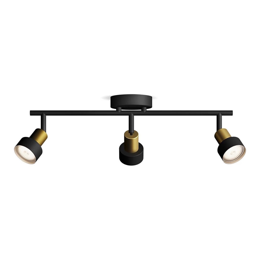 Philips - Spotlight CONDUIT 3xGU10/5W/230V black/brass