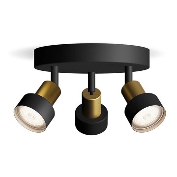 Philips - Spotlight CONDUIT 3xGU10/5W/230V black/brass