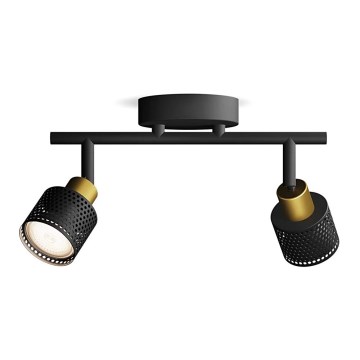 Philips - Spotlight NIALL 2xGU10/5W/230V black/brass