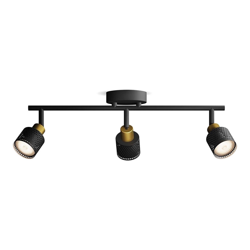 Philips - Spotlight NIALL 3xGU10/5W/230V black/brass