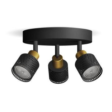 Philips - Spotlight NIALL 3xGU10/5W/230V black/brass