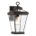 Quoizel - Outdoor wall light RAVINE 1xE27/60W/230V IP44 brown