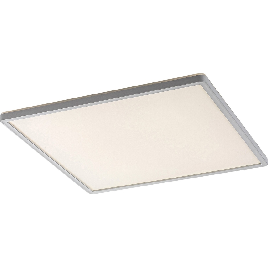 Rabalux - LED Dimming ceiling light LED/22W/230V