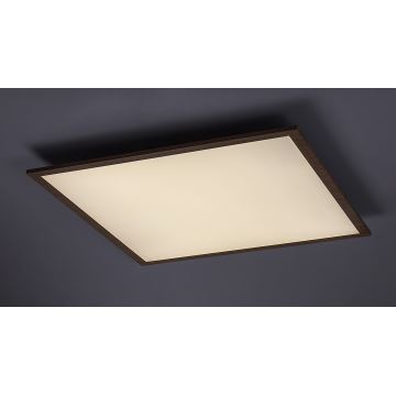 Rabalux - LED Attached panel LED/40W/230V 4000K